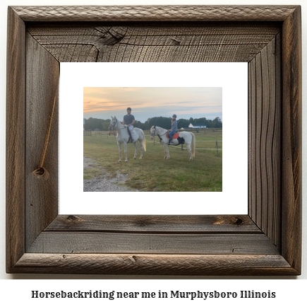 horseback riding near me in Murphysboro, Illinois